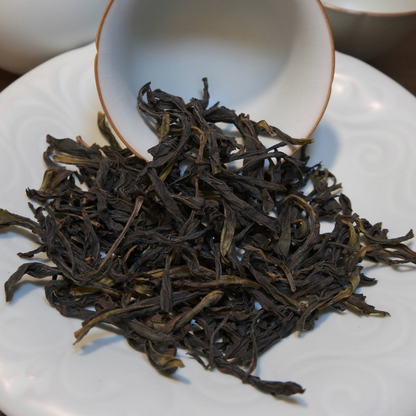 Dancong Oolong (Orchid)